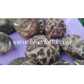 Vacuum Bag Packed Dried Spring Stem Cut Tea Flower Mushroom Shiitake Mushroom with Various Sizes